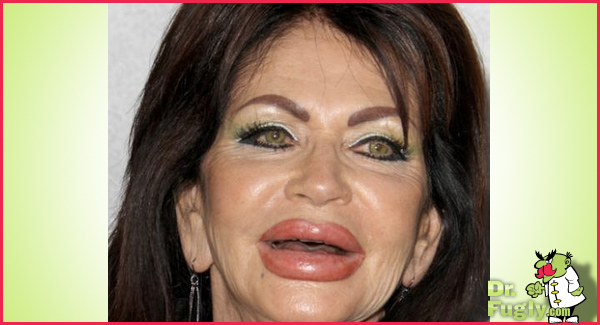 jackiestallonenew